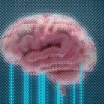 how-leaders-can-keep-learning-adapting-and-thriving-later-in-their-careers