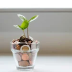 spotting-a-good-investment-essential-signals-beyond-the-hype