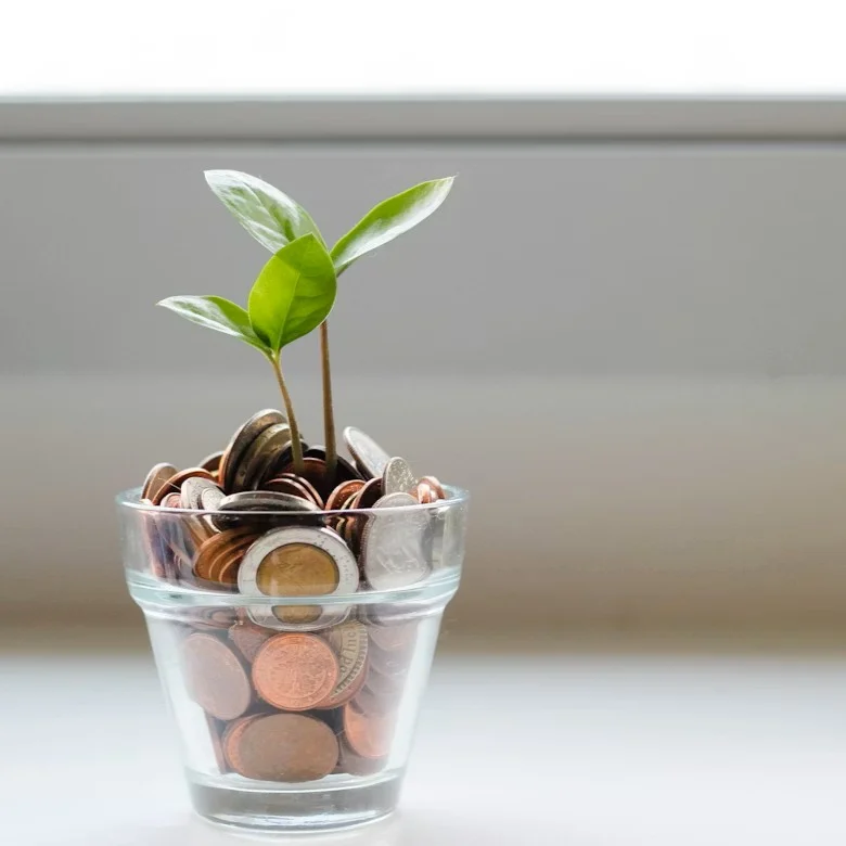 spotting-a-good-investment-essential-signals-beyond-the-hype