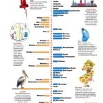 the-2026-chief-executive-best-worst-states-for-business-survey-reveals-shifting-tides-in-economic-landscapes