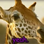 the-ai-slop-tidal-wave-how-generative-video-tools-are-flooding-the-digital-landscape-and-undermining-productivity