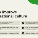 cultivating-a-high-impact-workplace-strategies-for-enhancing-organizational-culture-and-driving-performance