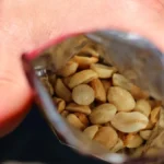 gousto-packager-dismissed-for-gross-misconduct-after-eating-peanuts-on-factory-floor-tribunal-rules-claims-out-of-time