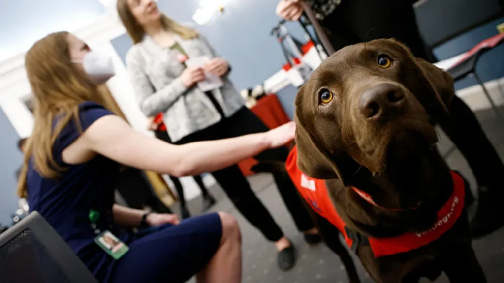 sixth-circuit-upholds-school-districts-discretion-on-paid-leave-for-guide-dog-training-setting-precedent-for-ada-and-fmla-interpretations