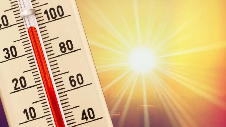 the-uk-should-introduce-a-maximum-workplace-temperature-committee-advises-amid-escalating-climate-risks