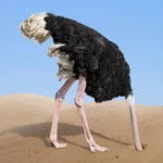 the-ceos-hard-truth-thirty-years-of-watching-change-initiatives-fail-taught-one-leader-that-the-thing-slowing-your-organization-down-is-usually-you