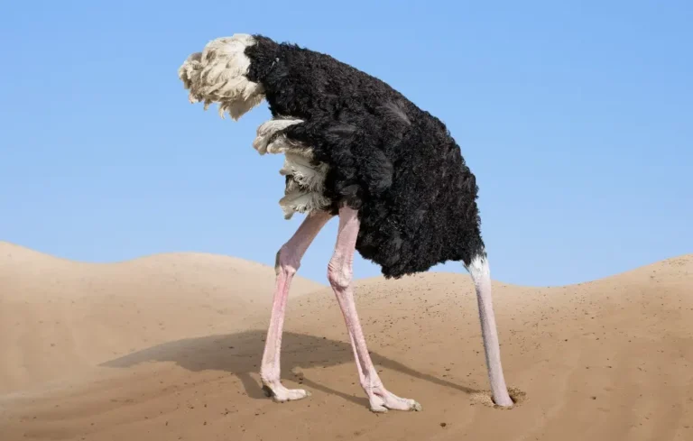 the-ceos-hard-truth-thirty-years-of-watching-change-initiatives-fail-taught-one-leader-that-the-thing-slowing-your-organization-down-is-usually-you