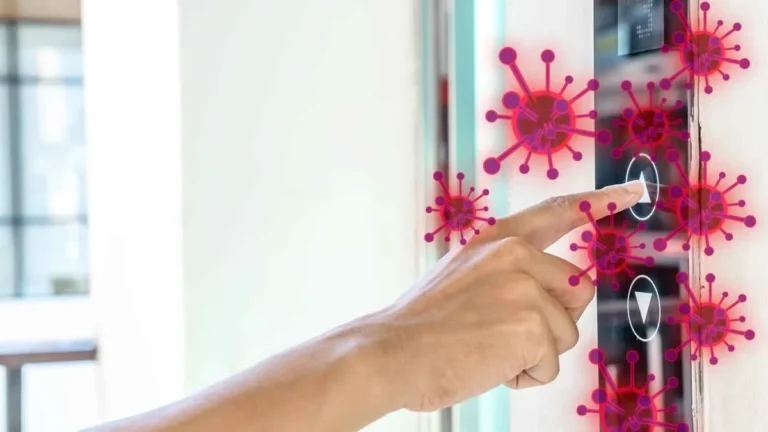the-hidden-summer-scourge-unmasking-the-microscopic-threats-lurking-in-our-workplaces