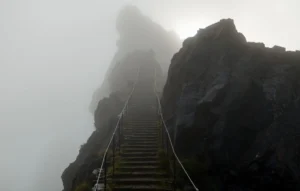 the-illusion-of-boardroom-alignment-unresolved-strategy-as-the-seed-of-execution-failure