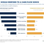 unveiling-ceo-instincts-a-study-on-business-leader-responses-to-liquidity-shocks-reveals-surprising-allocation-strategies