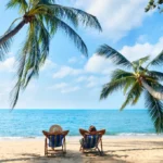 the-ceos-vacation-a-revealing-crucible-for-organizational-resilience
