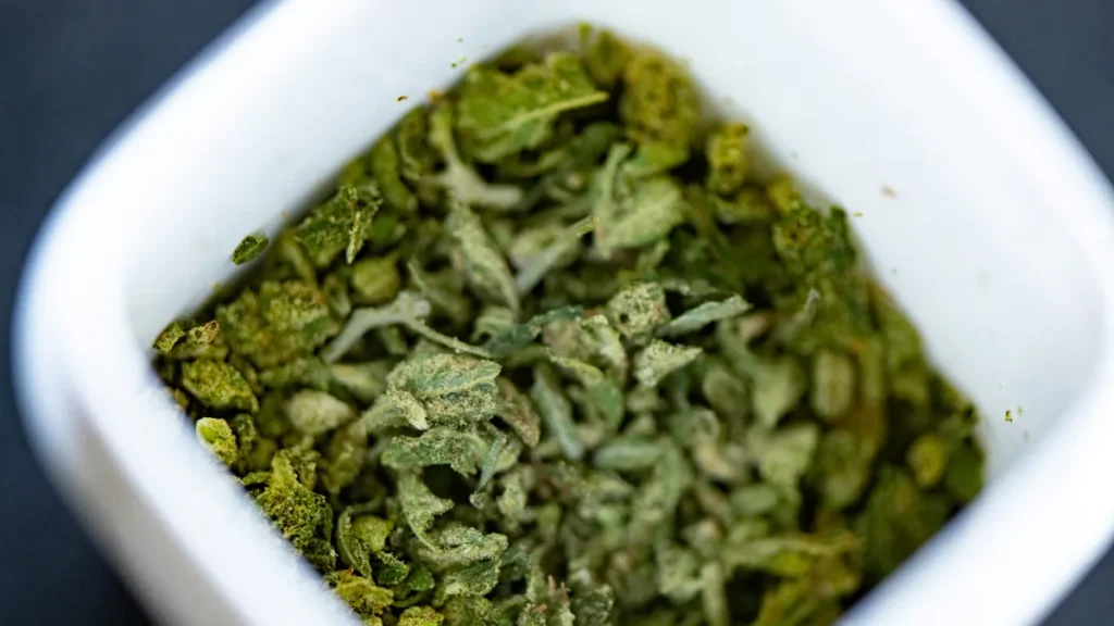 the-evolving-labyrinth-of-medical-marijuana-and-workplace-protections-a-national-overview-and-floridas-pivotal-appellate-ruling