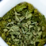 the-evolving-labyrinth-of-medical-marijuana-and-workplace-protections-a-national-overview-and-floridas-pivotal-appellate-ruling
