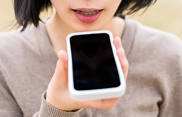 Voice recognition