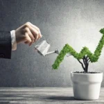 the-strategic-integration-of-public-funding-a-new-paradigm-in-organizational-investment