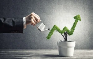 the-strategic-integration-of-public-funding-a-new-paradigm-in-organizational-investment
