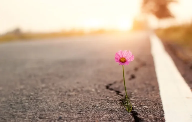 hope-emerges-as-a-crucial-driver-for-organizational-success-and-individual-resilience