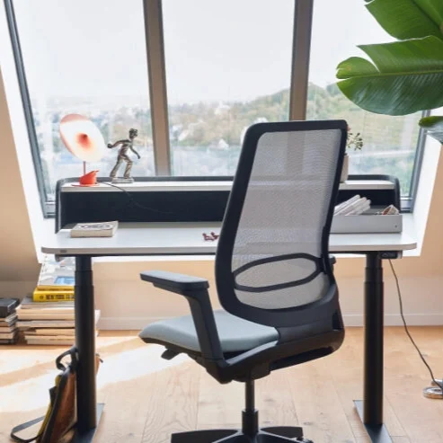 se-flex_se-desk-home_20210524_0043.tif